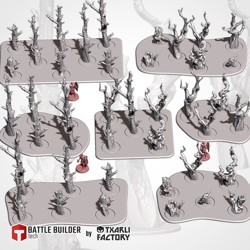 Terreno alberi morti - terreno,